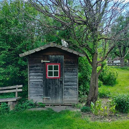 オーバードラウブルク Koestlhof, Familie Hassler Bed & Breakfast エクステリア 写真