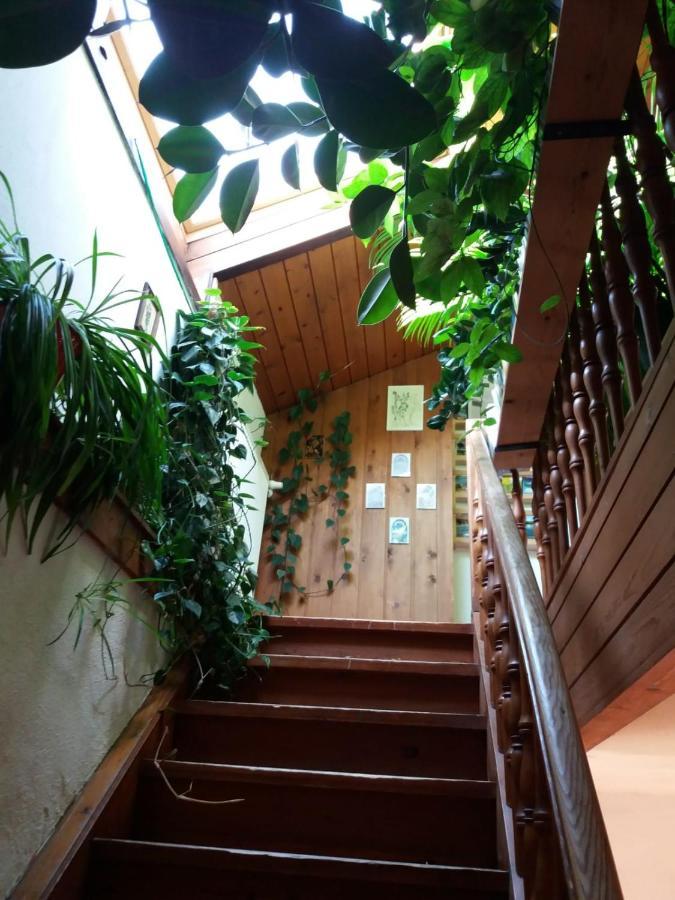 オーバードラウブルク Koestlhof, Familie Hassler Bed & Breakfast エクステリア 写真